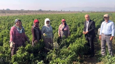 Başkan Aydın’dan çiftçi kadınlara sürpriz ziyaret