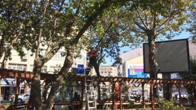 Bayrampaşa’da parklara sonbahar bakımı