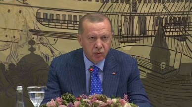 Cumhurbaşkanı Erdoğan: "Etkisiz hale getirilen terörist sayısı 490"