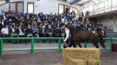 Ev fiyatına taylar için kıyasıya rekabet