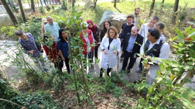 Kocaeli’de tıbbi aromatik bitki yetiştiriciliğine tam destek