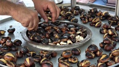 (Özel) Dalında 10 lira, mangalda 70 lira
