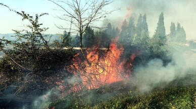 Sakarya Ziraat Odaları Kurulu Başkanı Bayraktar’dan anız yakmaya karşı uyarı