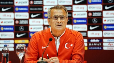 Şenol Güneş: "Oyuncularımızın karakterini sahada güçlü bir şekilde kullanmasını istiyorum"