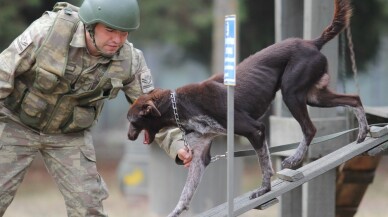 Sınır ötesi operasyonlara yerli ırk köpek