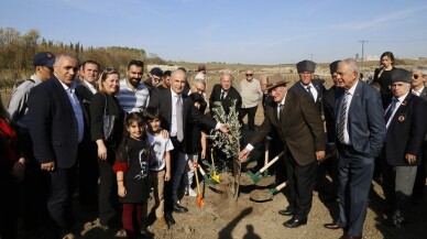 Atatürk için ‘1001’ adet zeytin fidanı dikildi