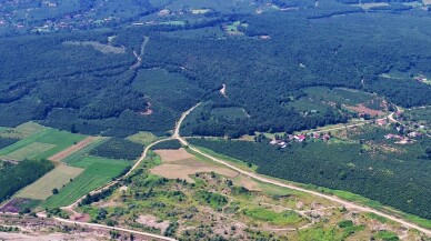 Başkan Yüce’den fidan ve ağaç kampanyasına davet