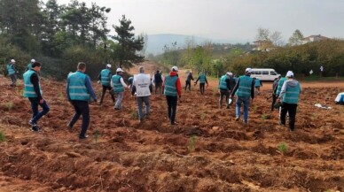 Başsavcı Dursun, hükümlülerle birlikte fidan dikti