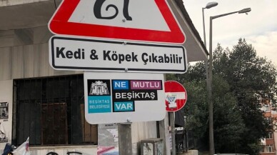 Beşiktaş’ın sokaklarında ‘Kedi ve Köpek Çıkabilir’ farkındalığı