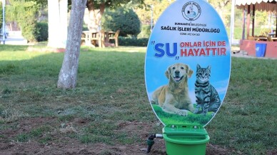 Burhaniye’de sokak hayvanlarına suluk