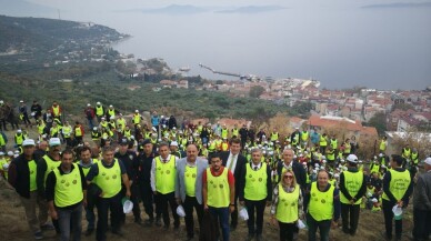 Marmara Adası’nda yangının izleri dikilen fidanlarla silinecek