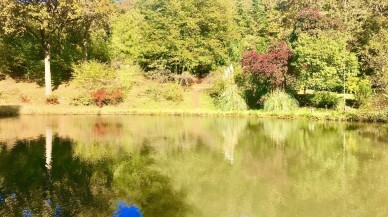 (Özel) Atatürk Arboretumu’nda sonbahar manzaraları havadan görüntülendi