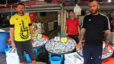 (Özel) Karadeniz hamsisi Marmara’yı hatırladı