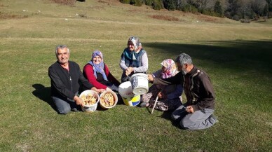 Sakarya’da güzel havayı değerlendiren vatandaşlar yaylada mantar topladı