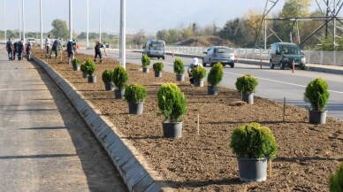 Salim Dervişoğlu Caddesi yeşillendirildi