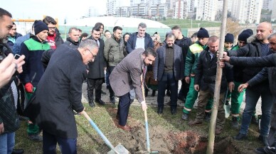 60’ıncı yıla 600 ağaç