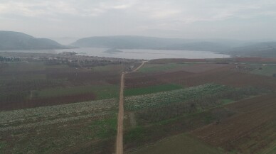 Bursa, Yalova ve Kocaeli’de 123 bin dekar arazi tapulaştırıldı