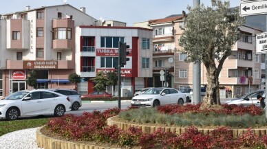 Gemlik’te refüjler zeytinle renkleniyor