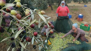 İlaçlama yok, kalite var