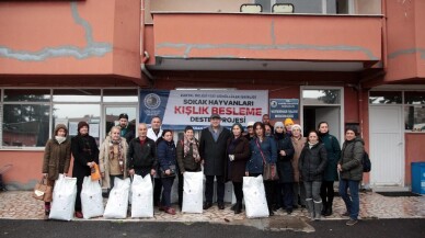 Kartal Belediyesi’nden sokaktaki sevimli dostlara mama desteği