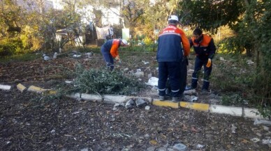 Körfez Belediyesi ekiplerinden temizlik ve hijyen mesaisi