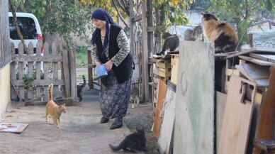 (Özel) Evinde onlarca kedi besleyen fedakâr kadının mama çağrısı