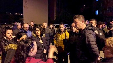 Sokak köpeklerini zehirlediler