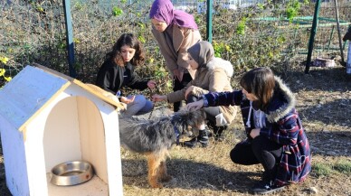 Umuttepe’deki sokak hayvanlarına yardım eli