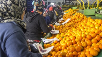 2019’da gıda ve tarımda öne çıkanlar