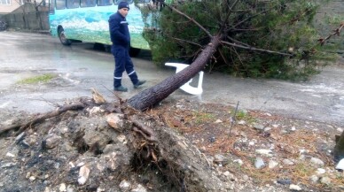 Bandırma’da şiddetli fırtınanın yaraları sarılıyor