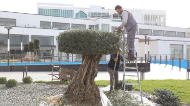 Çayırova’da yeşil alanlar bakımdan geçiyor