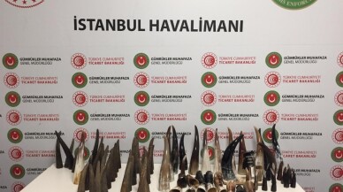 İstanbul Havalimanı’nda bufalo boynuzu operasyonu