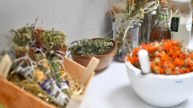 Aromatik Bitki Yetiştiriciliği Kursu Başvuruları Başlıyor