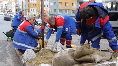 Kağıthane Sokaklarını Çınar Ağaçları Süsleyecek