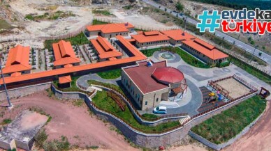 Sokak hayvanları barınakları ziyaretlere kapandı