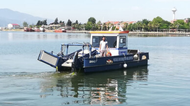 İzmit Körfezi’nde yaşayan deniz popilasyonu artış gösterdi