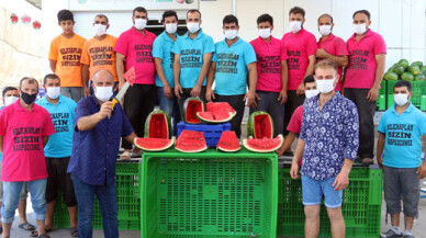 Doğu Marmara’nın karpuzları Kocaeli’den gidiyor