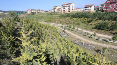 Park ve bahçelere 38 milyonluk yatırım