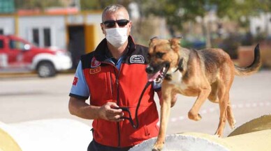 Balıkesir'de K9 Köpek Eğitim Merkezi kuruluyor
