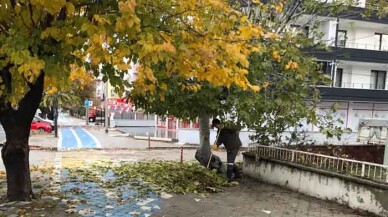 Cadde, sokak ve parklar temizleniyor