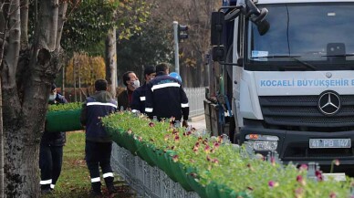 Hercai Menekşeler tramvay duraklarına renk getirdi