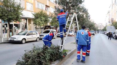 Kağıthane’de ağaçların budanmasına başlandı