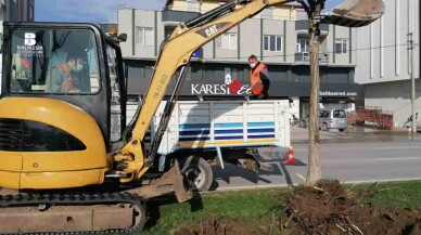 Rüzgâr Caddesi’ndeki ağaçlar yenilenecek