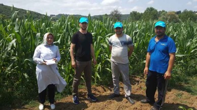 Kocaeli'nde çiftçilere yüzde 50 hibeli tohum desteği verilecek