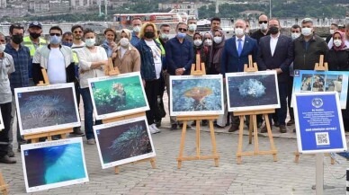 Bursa'da dalgıçlar denizi, çevreciler sahili temizledi