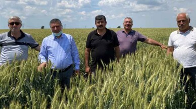 Halis Buğday, Trakya Çiftçisinin Yüzünü Güldürdü