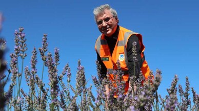 'Lavanta, kekik, ıhlamur balı ve özel aromatik ballar üreteceğiz'