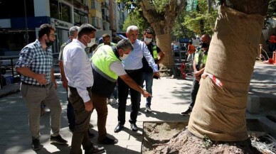 “Tarihi Ağaçları Gözümüz Gibi Koruyoruz”