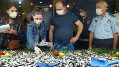 Balık Alırken Boyuna Bakın