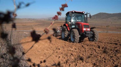 Süt otu tohumları Balıkesir'de toprakla buluştu